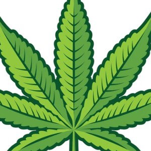 smoking that devils lettuce 