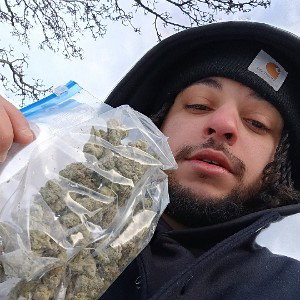MURDA