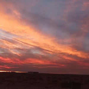 Freestyle  On Fire 🔥₩○rld Burning