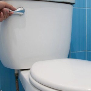 FLUSH IT DOWN