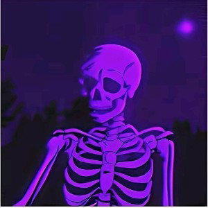 problems (skeleton)