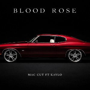BLOOD ROSE 