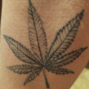 Amnesia - JuleZ239