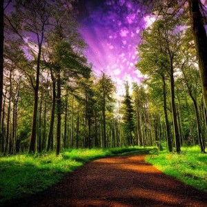 overdose (hook)