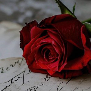Cuffy Dadon-love letter