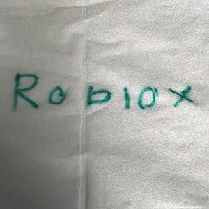 R-O-B-L-O-X-!