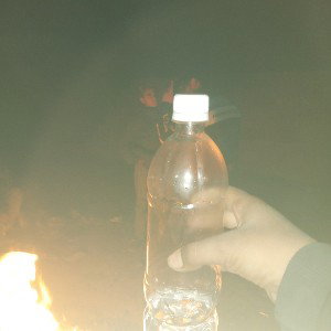 شقی