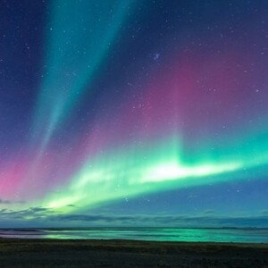 1 albun [Gansta]