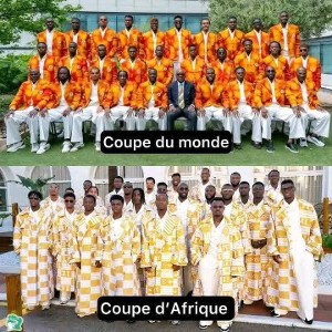 les éléphants 