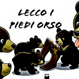 froci lecco i piedi orso