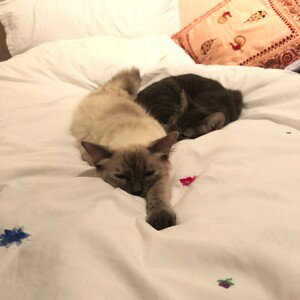Miss my baby gal