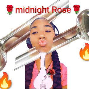midnight rose