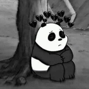 Sad Panda 🐼