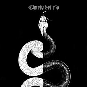 Charly song (Charly del rio)