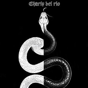 REALIDAD O FICCION (CHARLY DEL RIO)