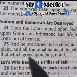 Mr🚹 Merk 1®