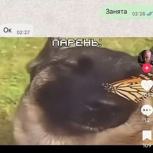 очередная грустная про тёлку / old school