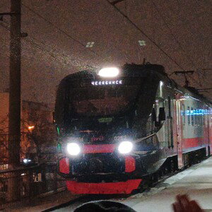 фенист