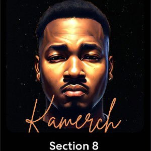 Section 8