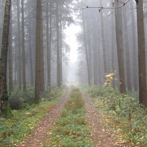 Zwischen Zweifel und Licht 