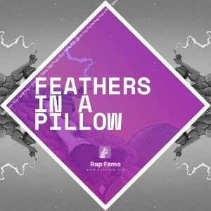 Feathers In A Pillow