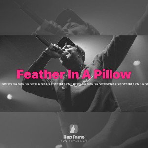 Feather In A Pillow