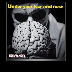 Underyourhairnnose