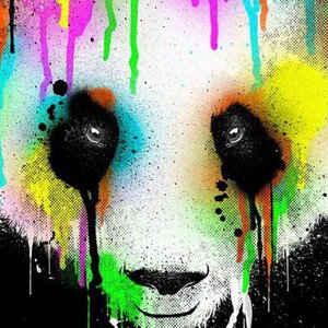 panda 
