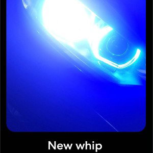 new whip