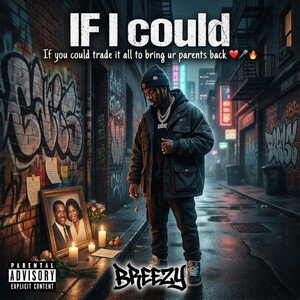 IF I could