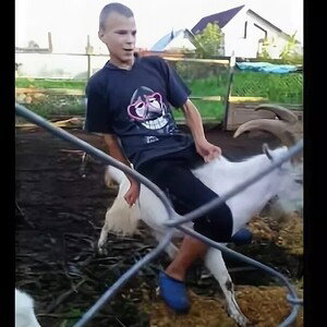 BahaStyle 2