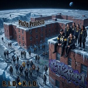 Plu2o Projects