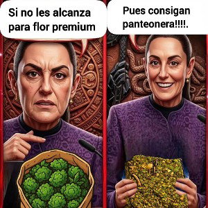 solo me dejó llevar 