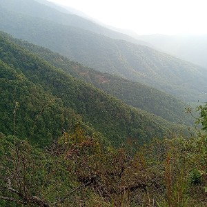 माया बिना एकपल  बाँच्न सक्दिन।
