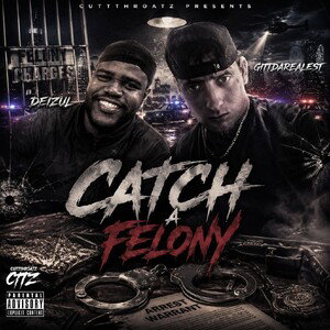 catch a felony 🧑🏿‍⚖️👮🏿⛓️‍💥