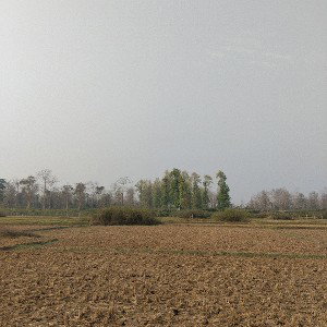 dhakkani