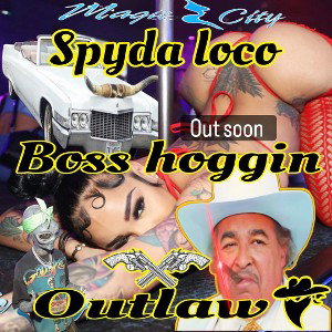 boss hogin outlaw 