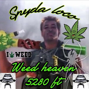 weed heaven