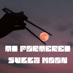 ti porterei sulla moon