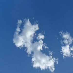 Gedanken im Kopf 