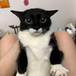 Курить курить курить