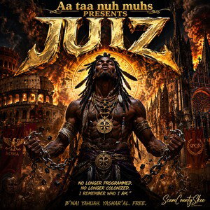 Juiz (freestyle)