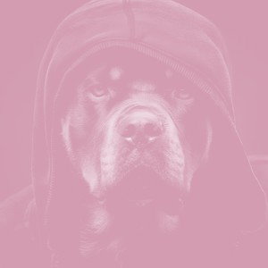 lyrical assassin (Bass Boost)