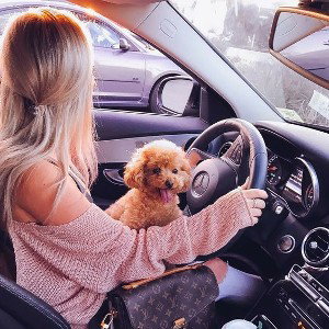 Mercedez 