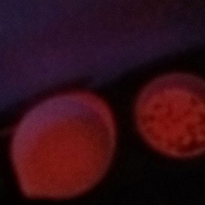 Pink Water