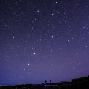 aiming for the stars