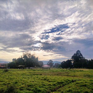 Alumbrando el sendero.