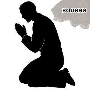Колени