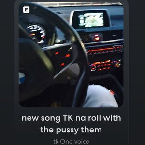 new song TK na roll with the pussy them 