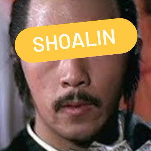 my kung fu is excellent 